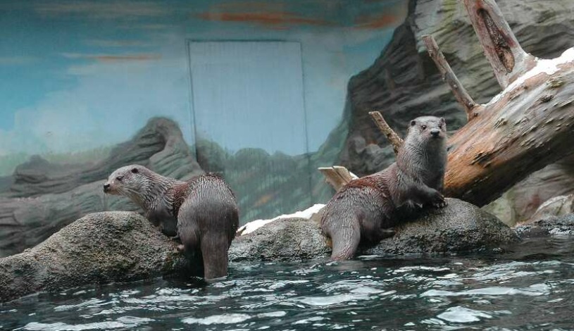 Hotel Záviš z Falkenštejna Hluboká nad Vltavou
